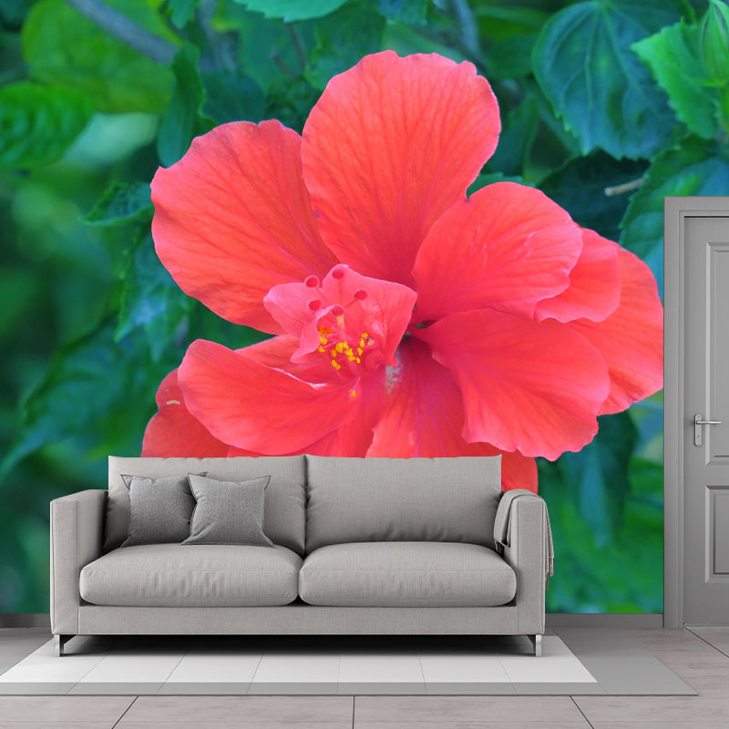 Customized Blooming Hibiscus Mural Wallpaper Contemporary for Guest Room Decor