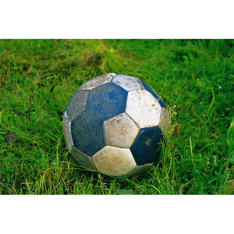 Football Lover Wallpaper Mural Decal Customized Modern Wall Covering for Bedroom