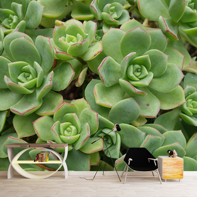 Indoor Decoration Plants Wall Mural for Living Room Bedroom, Made to Measure