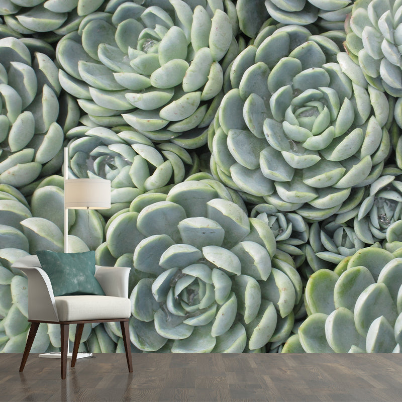 Indoor Decoration Plants Wall Mural for Living Room Bedroom, Made to Measure