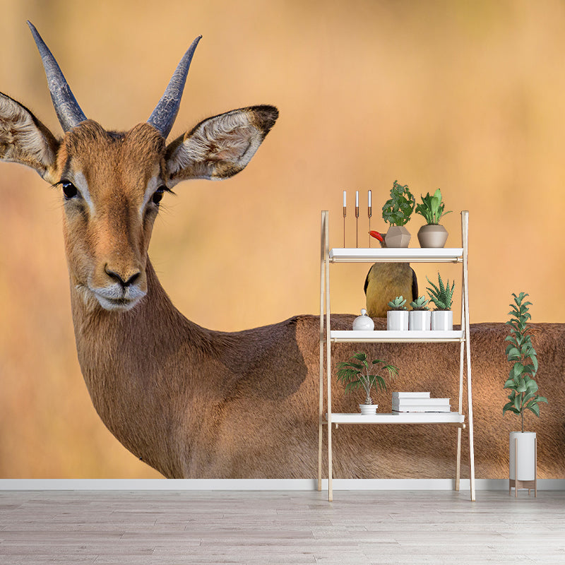 Antelope Mural Wallpaper Moisture Resistant Wall Covering for Home Decor
