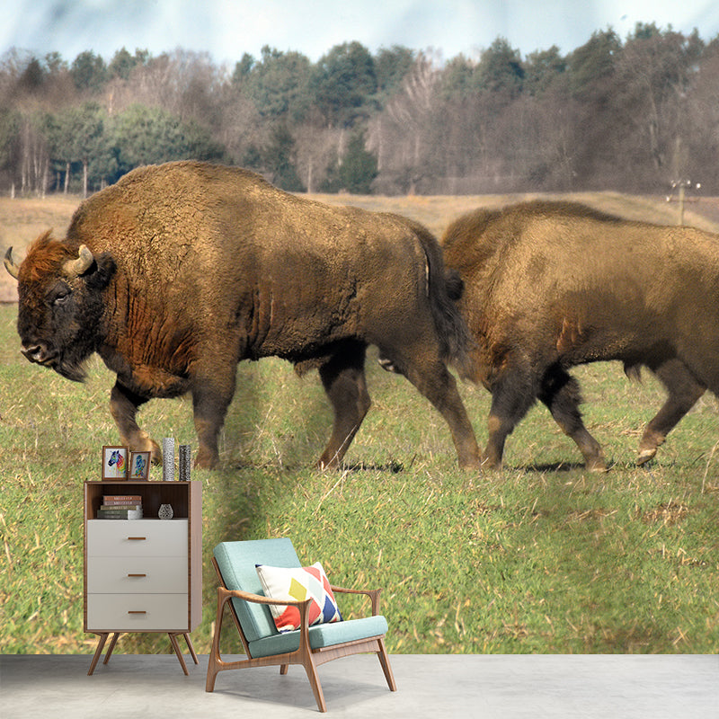 Bison Animal Wall Covering for Home Decor Water Resistant, Made to Measure