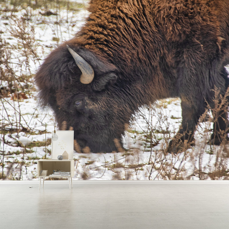 Bison Animal Wall Covering for Home Decor Water Resistant, Made to Measure