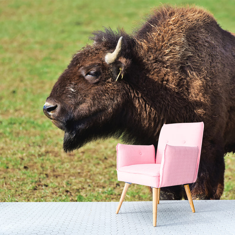 Bison Animal Wall Covering for Home Decor Water Resistant, Made to Measure