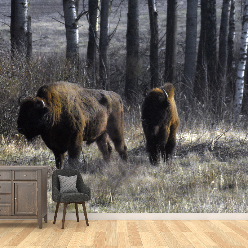 Bison Wall Covering for Sitting Room Water Resistant Mural, Made to Measure