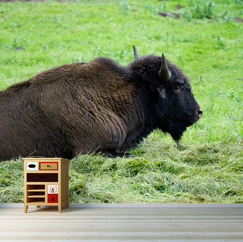 Bison Wall Covering for Sitting Room Water Resistant Mural, Made to Measure