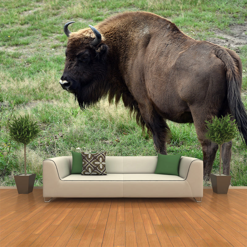 Bison Wall Covering for Sitting Room Water Resistant Mural, Made to Measure