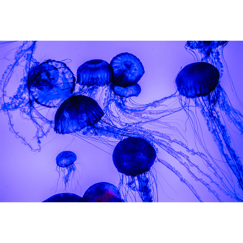 Blue Sea Creatures Mural Contemporary Wall Decor for Sleeping Room, Water Resistant