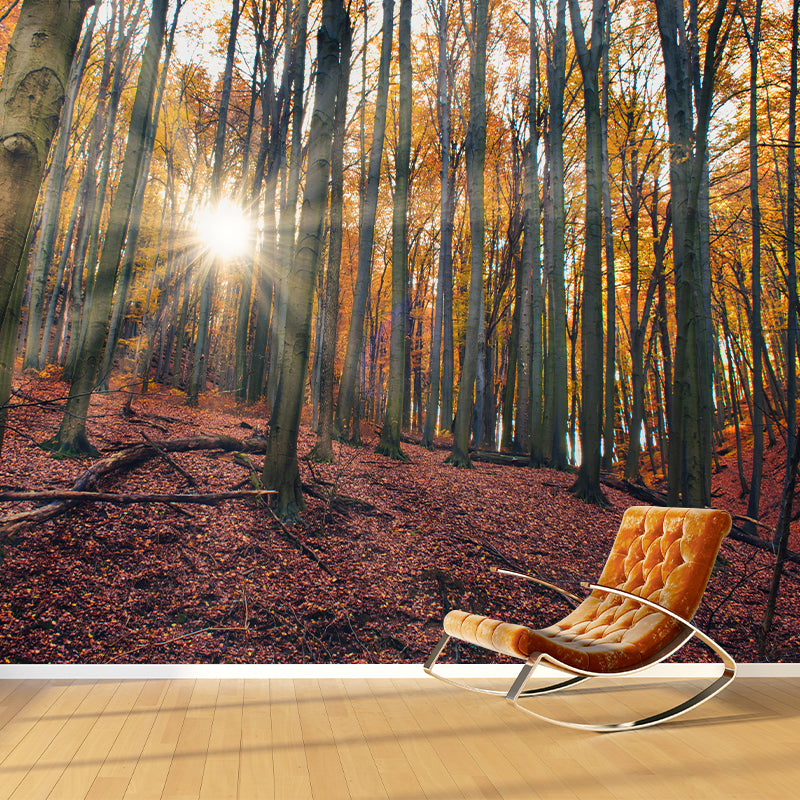 Forest Trees Urals Moisture Resistant Contemporary Hallway Wall Decoration