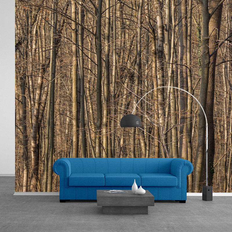 Contemporary Living Room Wall Decor Autumn Forest Mural Wallpaper, Moisture Resistant