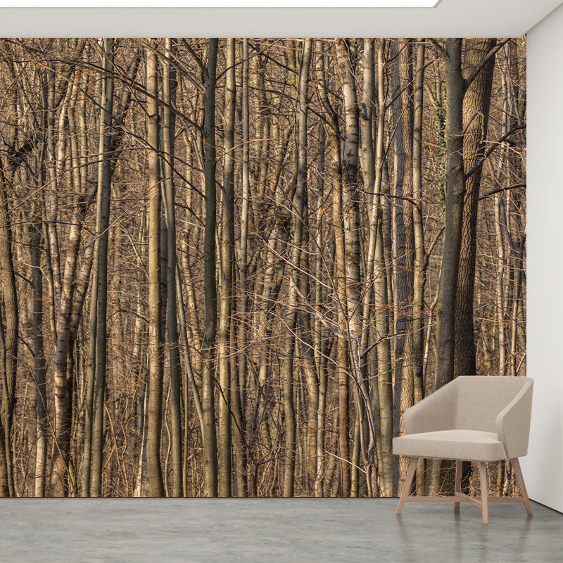 Contemporary Living Room Wall Decor Autumn Forest Mural Wallpaper, Moisture Resistant