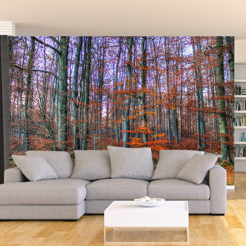 Contemporary Living Room Wall Decor Autumn Forest Mural Wallpaper, Moisture Resistant