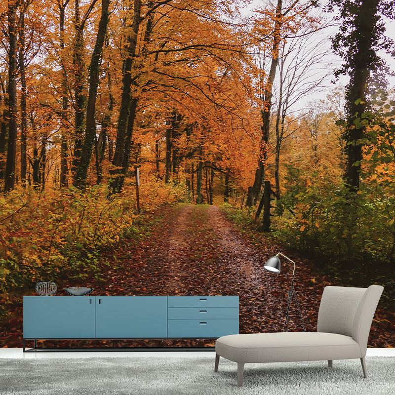 Contemporary Living Room Wall Decor Autumn Forest Mural Wallpaper, Moisture Resistant