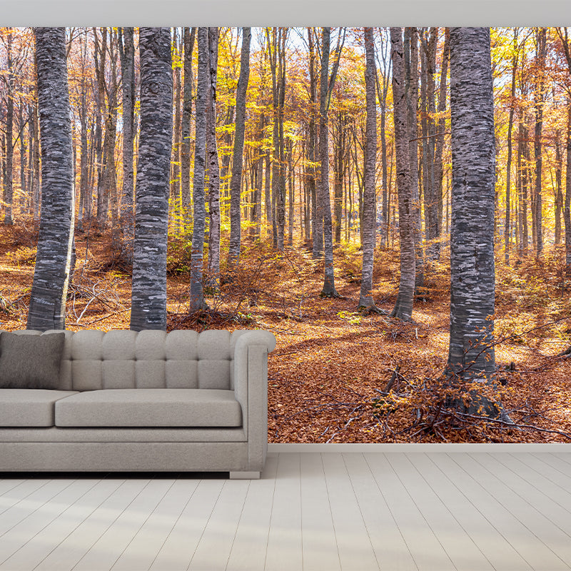 Forest Wall Decor Stain Resistant Wall Covering for Dining Room, Stain Resistant