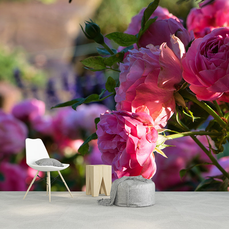 Blooming Roses Removable Mural Wallpaper Stain Resistant Decor for Bedroom