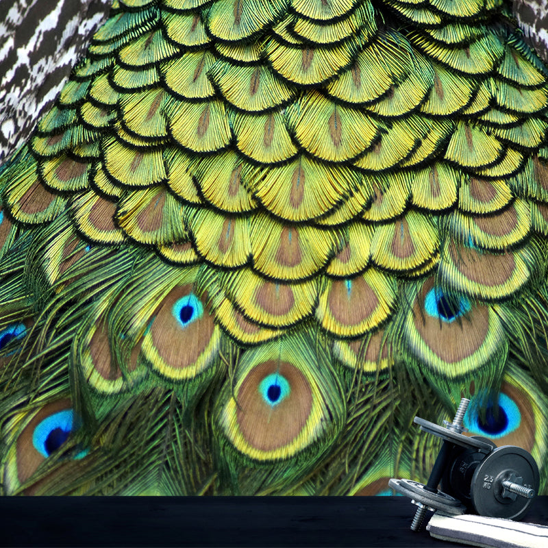 Minimalism Style Feather Mural Decal Water Resistant Wall Decor for Gust Room