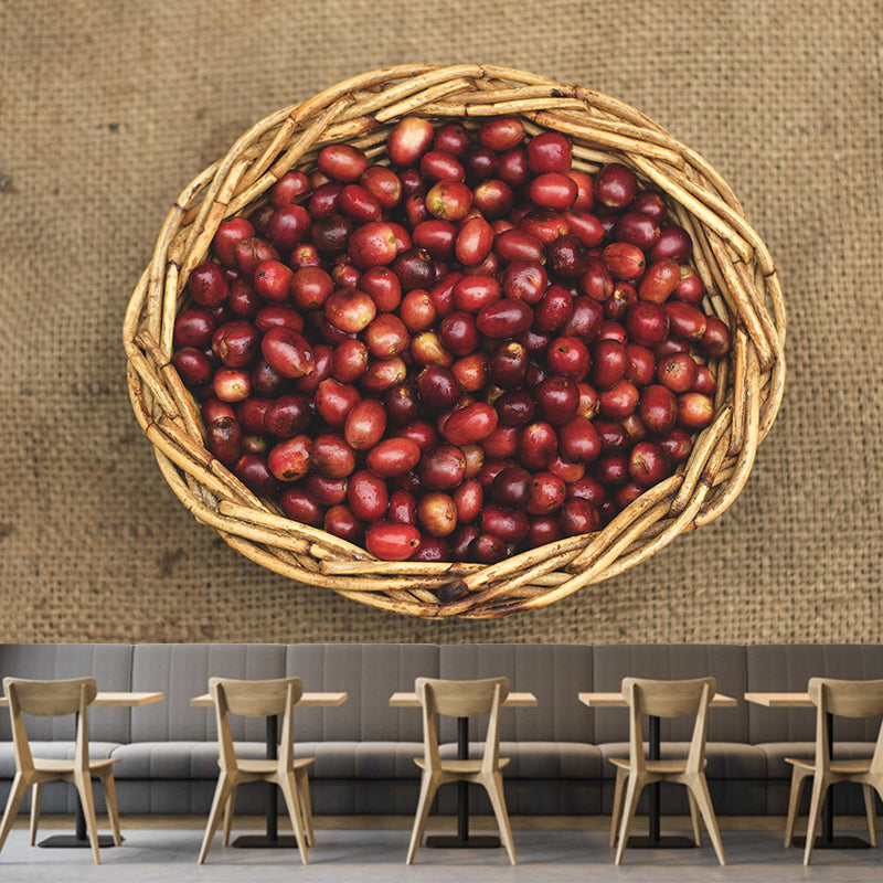 Soft Color Coffee Beans Wallpaper Murals Environment Friendly for Coffee Shop