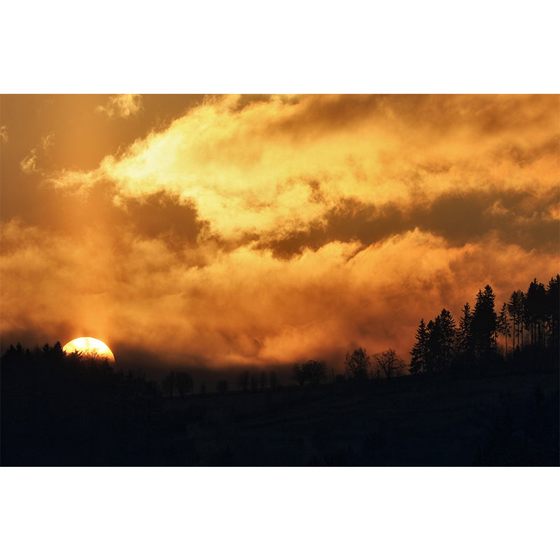 Contemporary Style Sky Mural Environment Friendly Wall Covering for Sleeping Room