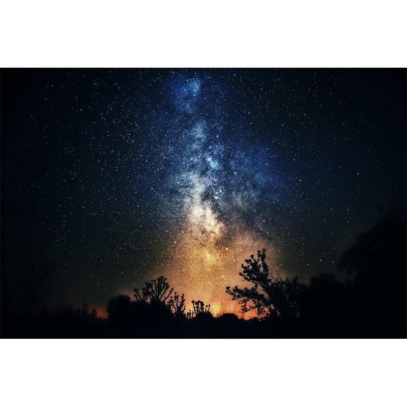 Universe Galaxy Mural Wallpaper for Sitting Room Decor Multiple Sizes Available