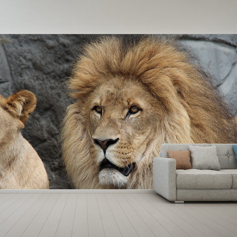 Wild Animal Lion Mural Wallpaper for Living Room, Multiple Sizes Available