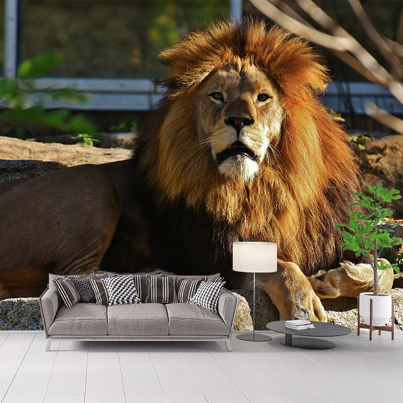 Wild Animal Lion Mural Wallpaper for Living Room, Multiple Sizes Available