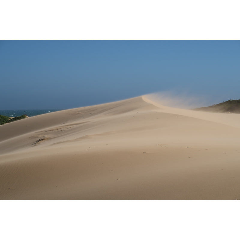 Desert Nature Landscape Removable Wall Mural for Dining Room, Water Resistant