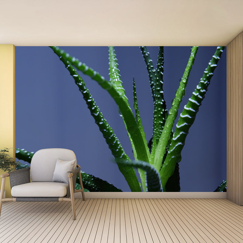Houseplant Removable Wall Mural for Sitting Room Bedroom, Moisture Resistant