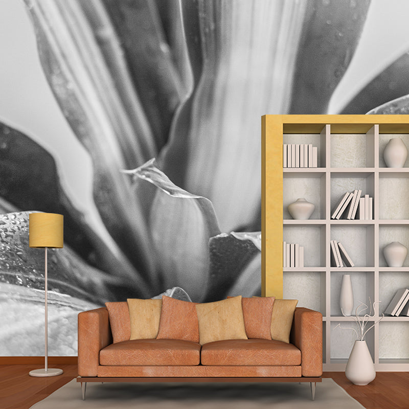 Houseplant Removable Wall Mural for Sitting Room Bedroom, Moisture Resistant