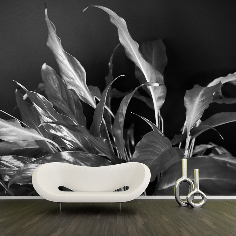 Houseplant Removable Wall Mural for Sitting Room Bedroom, Moisture Resistant