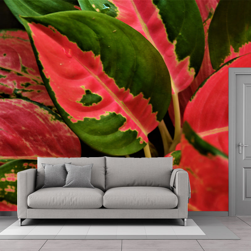 Houseplant Removable Wall Mural for Sitting Room Bedroom, Moisture Resistant