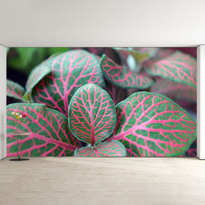 Modern Living Room Corridor Indoor Plants Wall Decor Water Resistant Mural