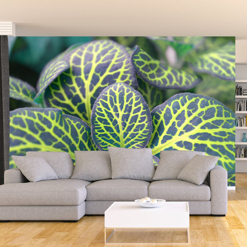 Modern Living Room Corridor Indoor Plants Wall Decor Water Resistant Mural