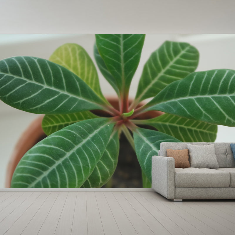 Modern Living Room Corridor Indoor Plants Wall Decor Water Resistant Mural