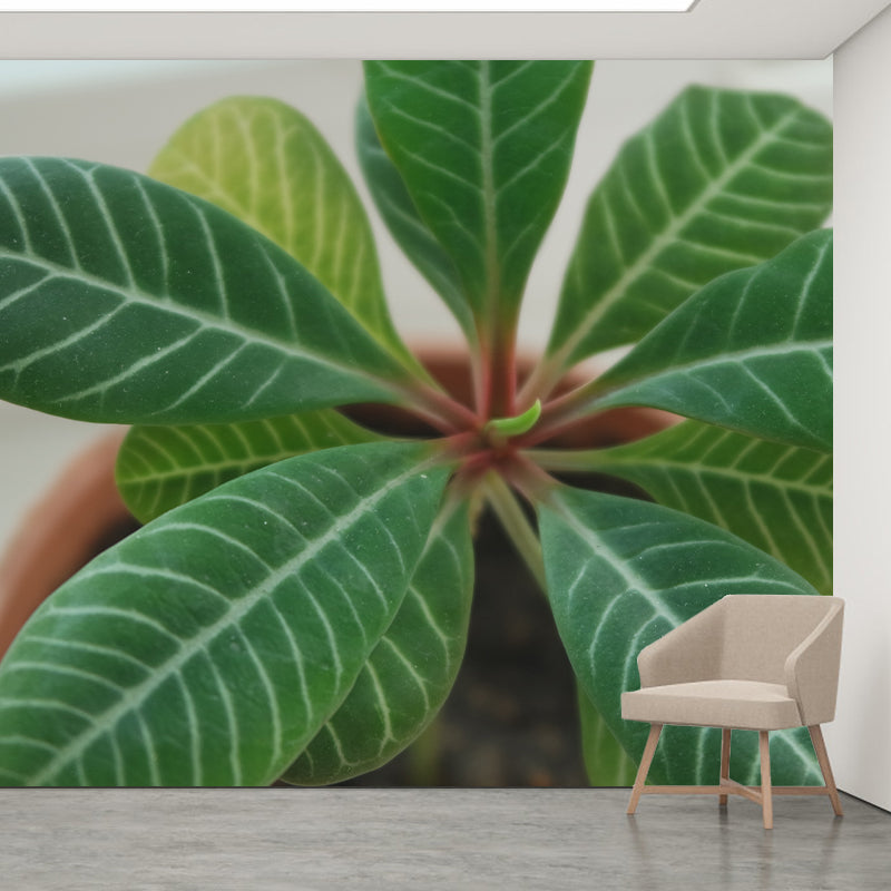 Modern Living Room Corridor Indoor Plants Wall Decor Water Resistant Mural