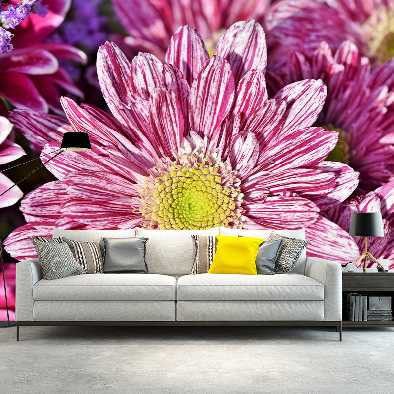 Chrysanthemum Removable Wall Mural for Girl's Bedroom, Custom Size Available