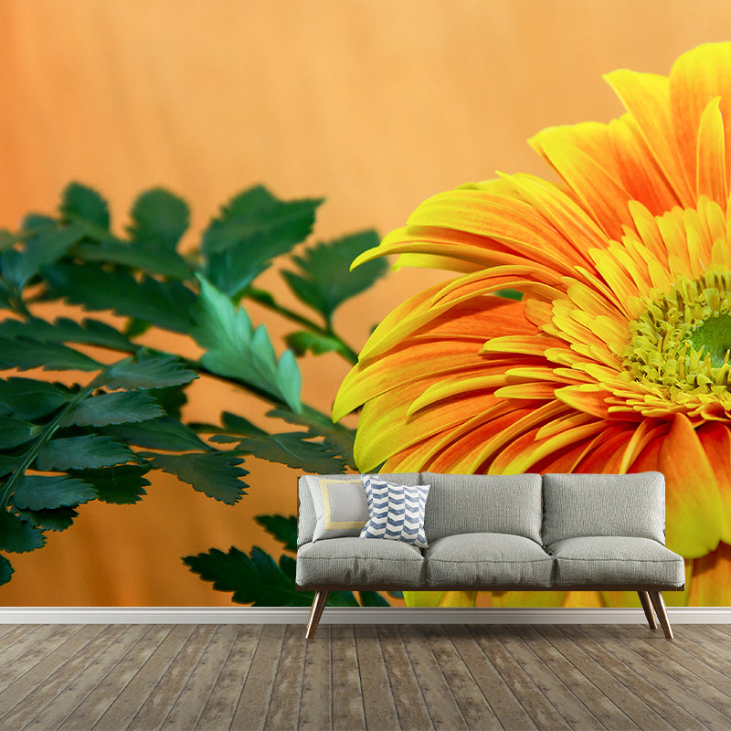 Chrysanthemum Removable Wall Mural for Girl's Bedroom, Custom Size Available