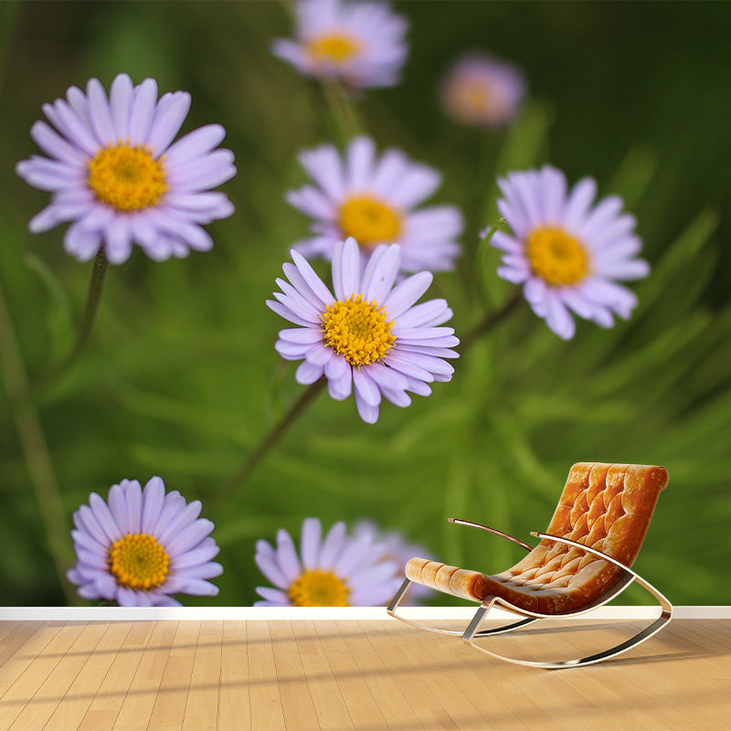 Chamomile Wall Murals Flower Modernist Sleeping Room Wall Decor, Moisture Resistant