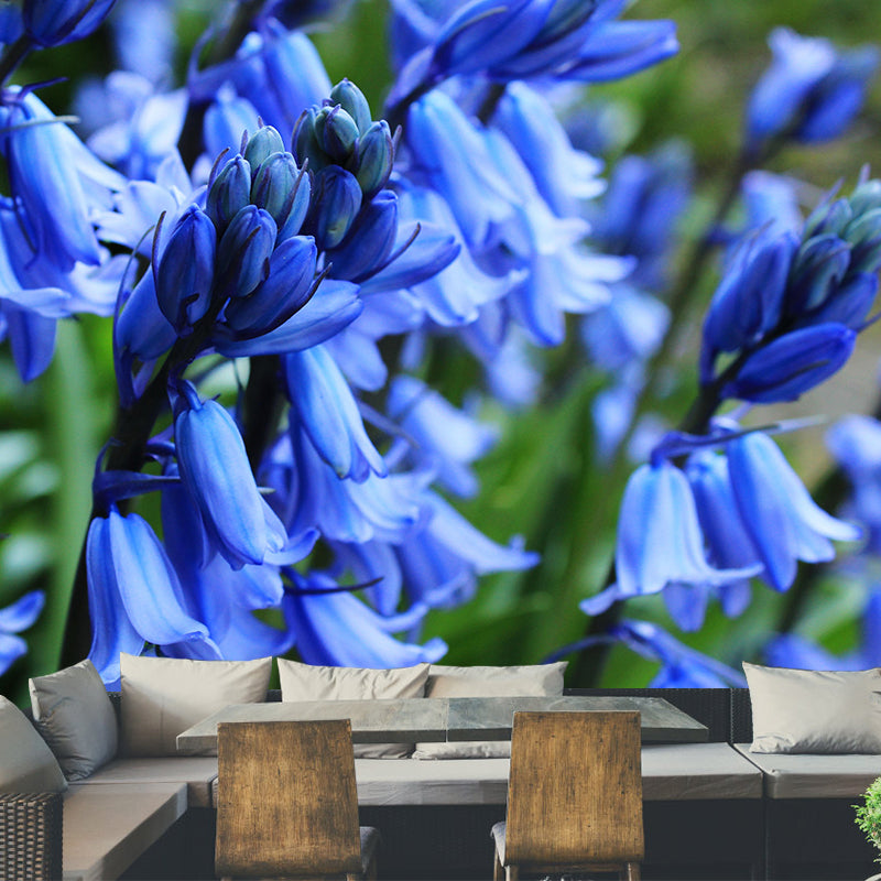 Beautiful Hyacinth Wall Mural Decal Colorful Mural Wallpaper for Girl Bedroom