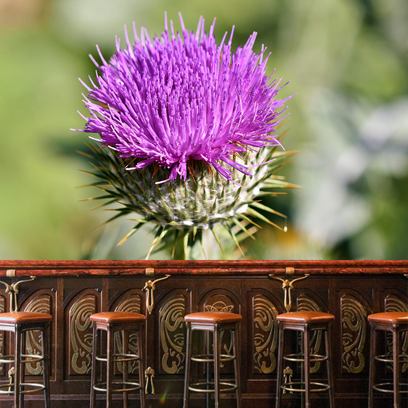 Customized Thistle Flower Mural Wallpaper Waterproofing Wall Decor for Meeting Room