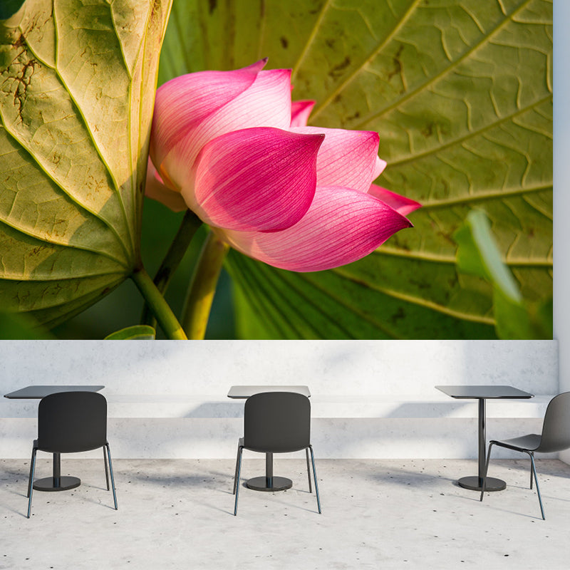 Customized Lotus Mural Wallpaper Waterproofing Wall Decor for Meeting Room