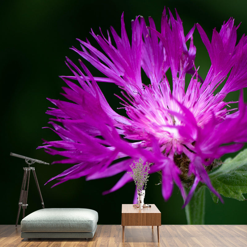 Customized Cornflower Mural Wallpaper Waterproofing Wall Decor for Meeting Room