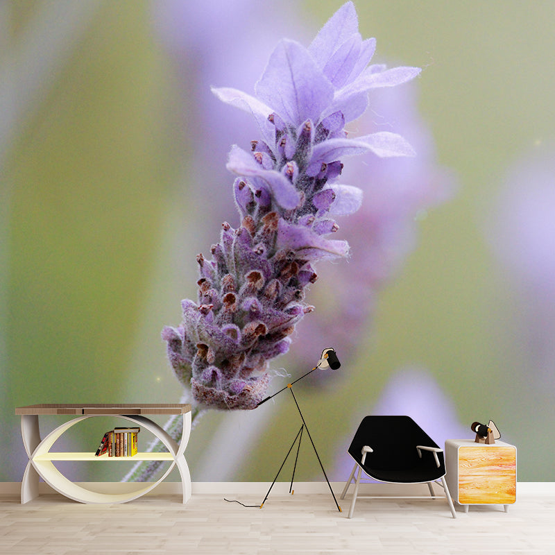 Beautiful Lavender Wall Mural Decal Colorful Mural Wallpaper for Girl Bedroom