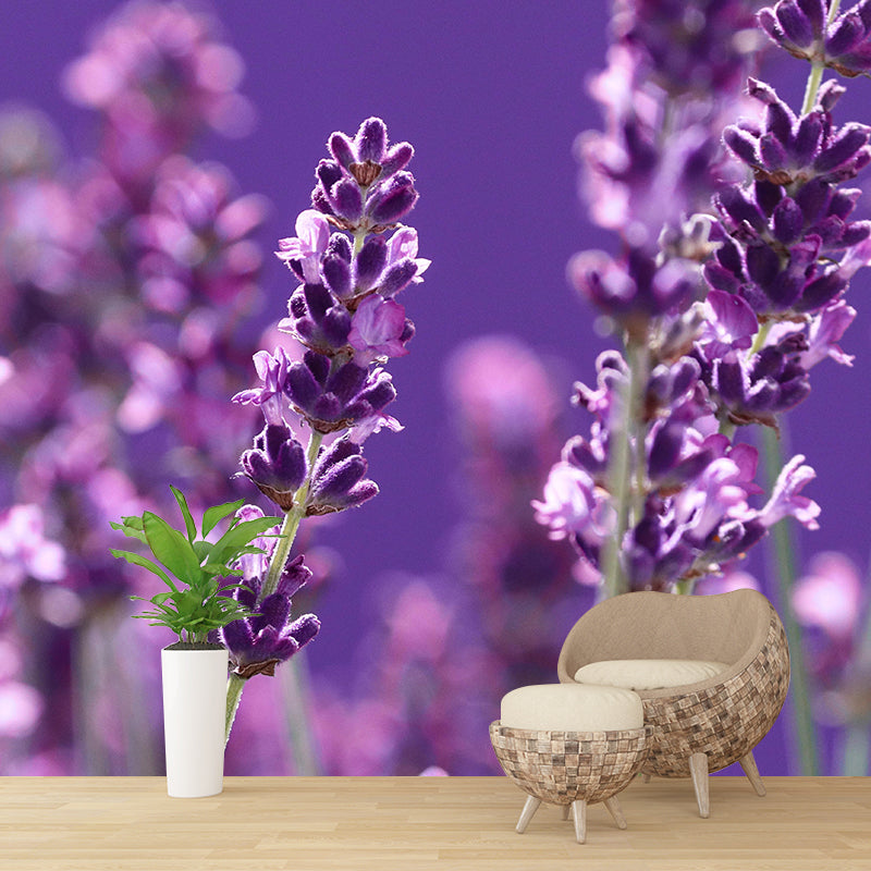 Beautiful Lavender Wall Mural Decal Colorful Mural Wallpaper for Girl Bedroom