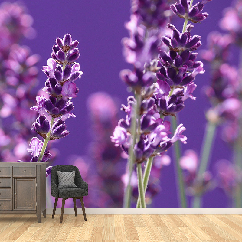Beautiful Lavender Wall Mural Decal Colorful Mural Wallpaper for Girl Bedroom