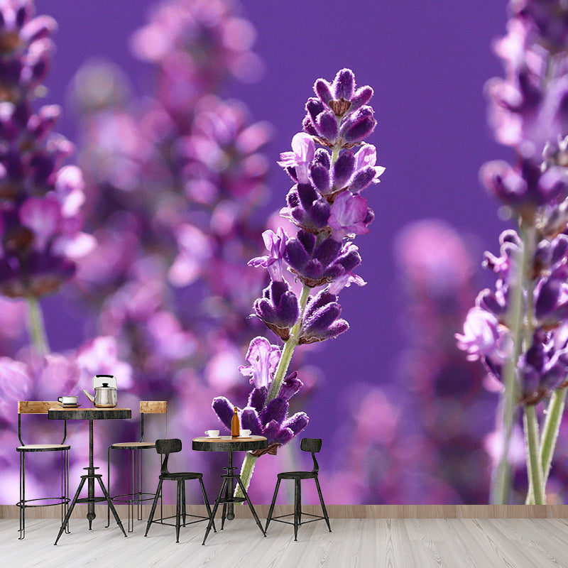 Beautiful Lavender Wall Mural Decal Colorful Mural Wallpaper for Girl Bedroom