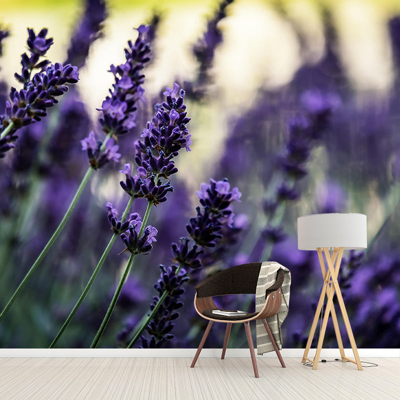 Beautiful Lavender Wall Mural Decal Colorful Mural Wallpaper for Girl Bedroom