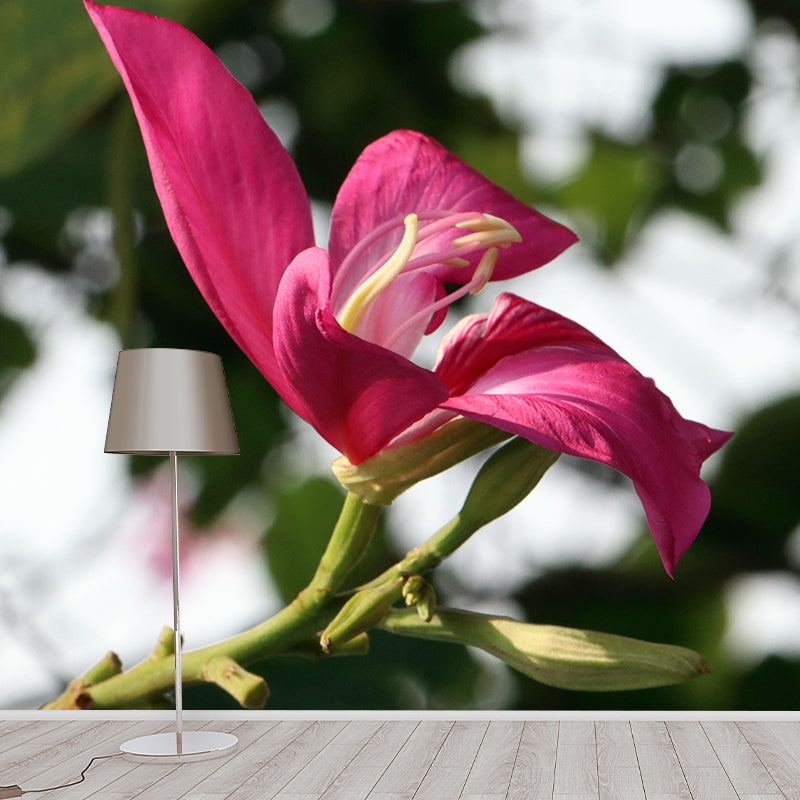 Customized Bauhinia Mural Wallpaper Waterproofing Wall Decor for Meeting Room