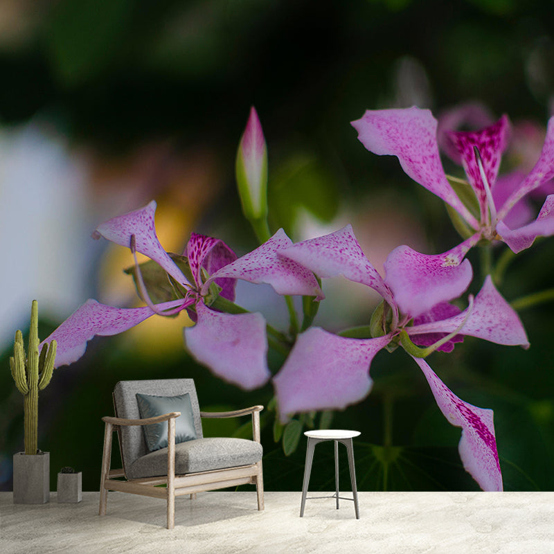 Customized Bauhinia Mural Wallpaper Waterproofing Wall Decor for Meeting Room