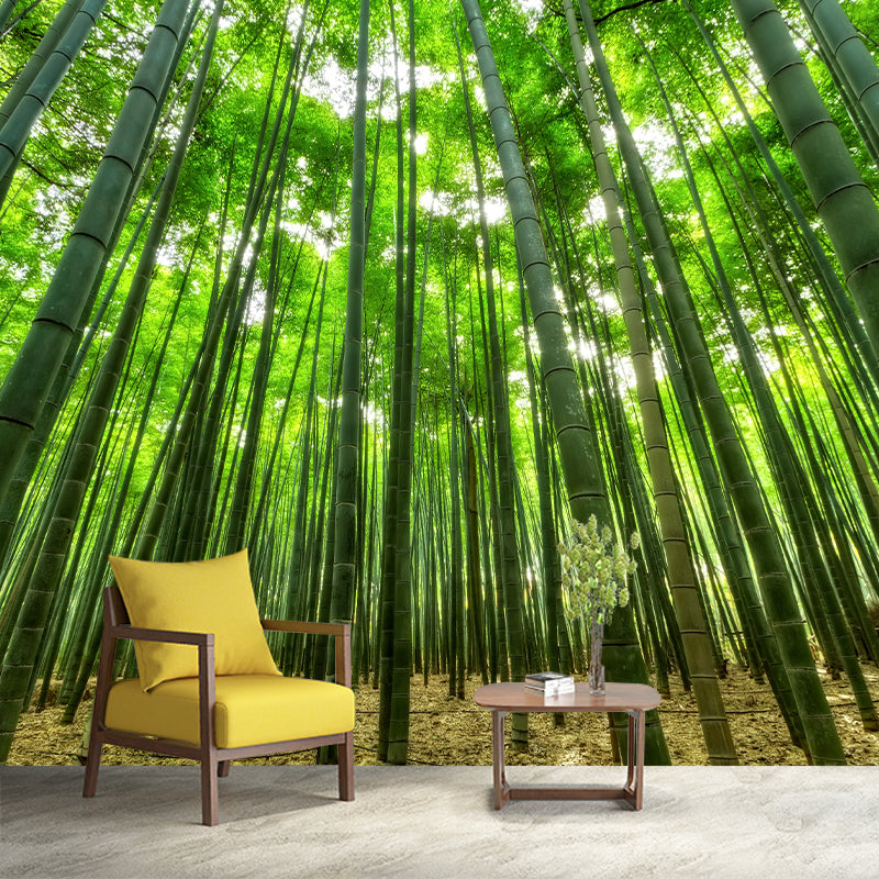 Green Bamboo Wall Mural Minimalist Decoration Stain Resistant for Sitting Room