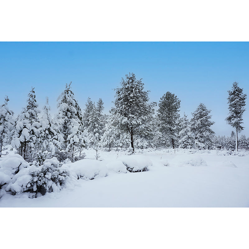 Forest Tree Contemporary Mural Decal Sitting Room Water Resistant Wall Decor